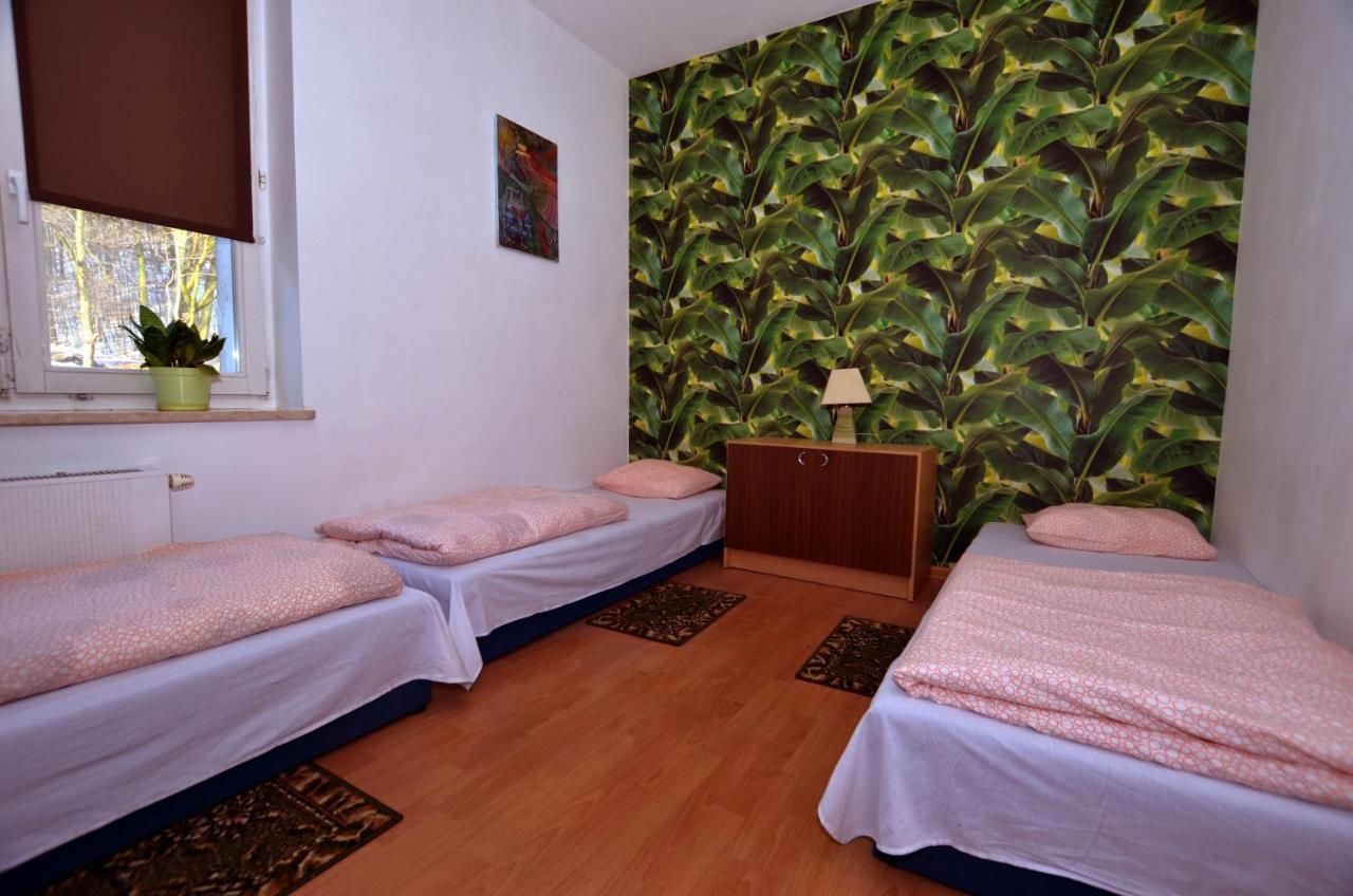 Хостелы Hostel Madeira Гданьск-27